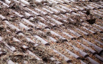 Broomham roof cleaning companies