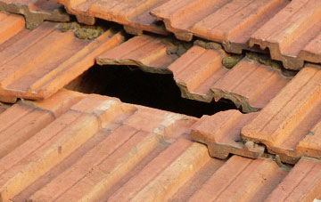 roof repair Broomham, East Sussex